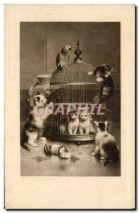 Old Postcard Cat Kitten cat Parrot Bird