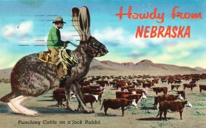Postcard Punching Cattle On A Jack Rabbit Howdy From Nebraska NB DHC Pub.