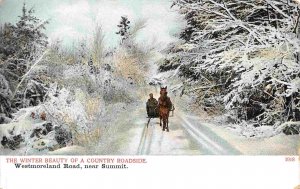 Horse Sleigh Country Roadside Westmoreland Road Summit New Hampshire postcard