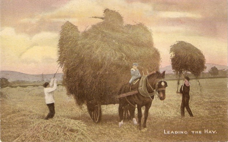 Leading the hay. Cart Horse Nice old vintage Emglish postcard