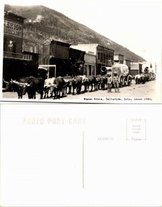 Wagon Train, Telluride, Colorado (18178