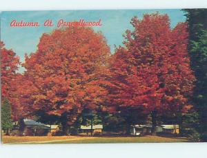 Unused Pre-1980 RESORT SCENE Berrien Springs Virginia VA c4540