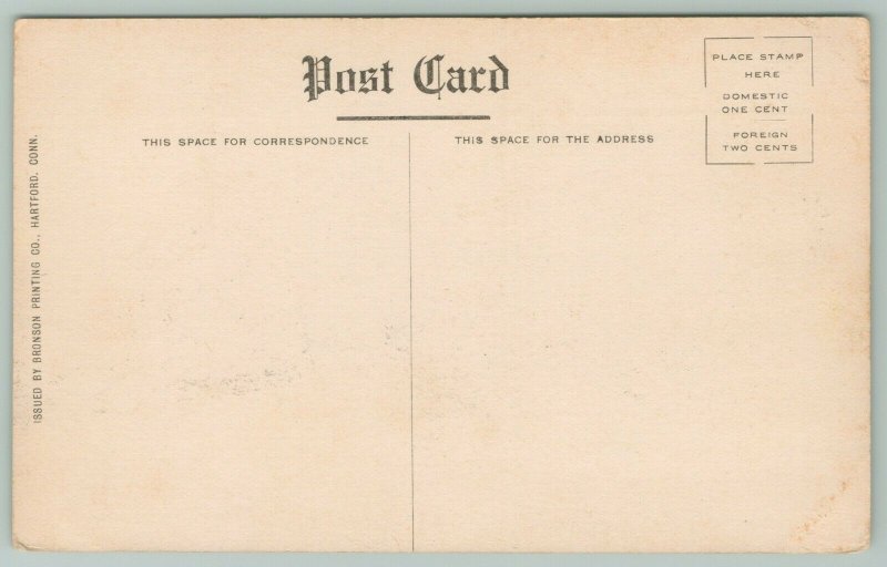 Hartford Connecticut~State Library~c1910 Postcard