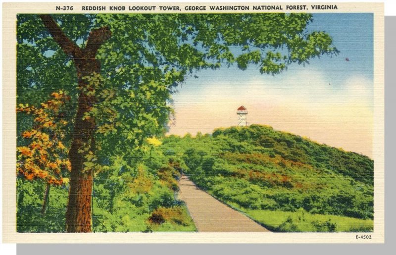 Washington National Forest Virginia/VA Postcard, Knob Tower