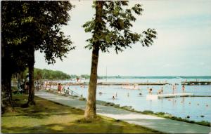 Fort Francis ON Ontario Point Park Beach Rainy Lake Unused Vintage Postcard D70