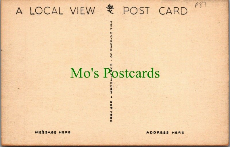 America Postcard - Masonic Temple, Belvidere, New Jersey   RS28322