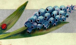 1880s Victorian Religious Card Beautiful Muscari Flowers & Ladybug F105