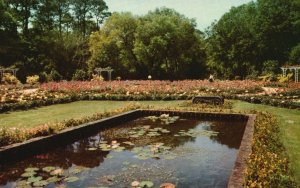 Vintage Postcard  Bellingrath Gardens Lily Pool Roses Mobile Alabama AL