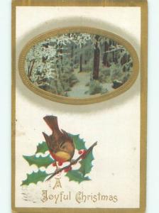 Divided-Back CHRISTMAS BIRDS SCENE Pretty Postcard W8548