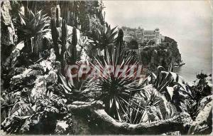 Modern Postcard The Cote d Azur The rock of Monaco seen from the Exotic Garden