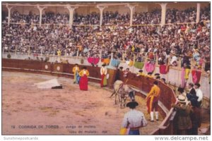 Bull Fight Corrida de Toros Torrador Bull Fighter Juega de muleta