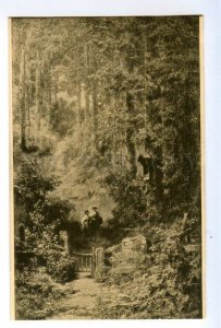 497724 Carl SPITZWEG Walk in forest Vintage postcard