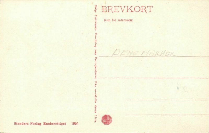 denmark, ESBJERG, Banegaarden, Railway Station (1910s) Postcard