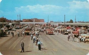 Postcard Michigan Bar Harbor Fruit Market 1950s Cash Grower Penrod 23-644