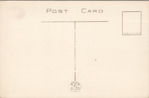 Luther College Regina SK Saskatchewan Unused PECO Postcard E98