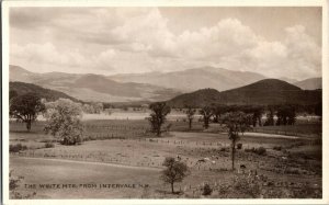 RPPC The White Mountains from Intervale NH Vintage Postcard H74