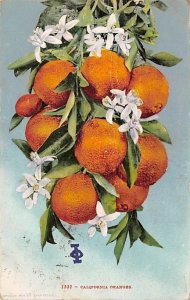 California Oranges California, USA Fruit Assorted 1906 