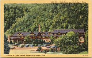 Gatlinburg TN Entrance Great Smoky Mountains National Park Unused Postcard F84