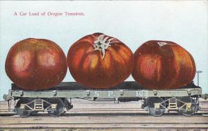 Exaggeration Large Oregon Tomatoes On Railroad Card