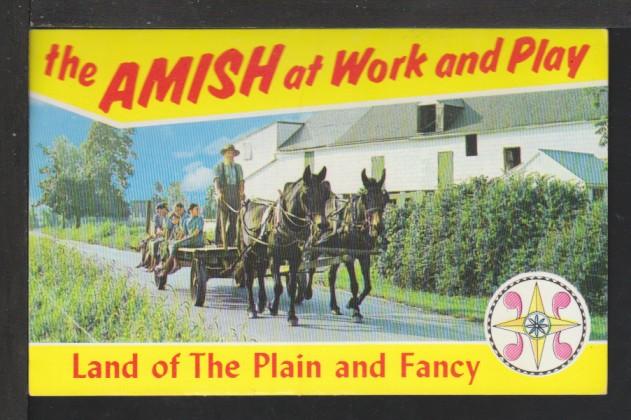 Amish at Work and Play Postcard 