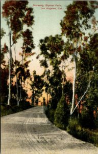 Vtg 1910s Elysian Park Driveway Los Angeles California CA Unused Postcard