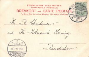 ODENSE DENMARK DANEMARK LÆSEFORENINGEN READING ASSOCIATION POSTCARD c1905