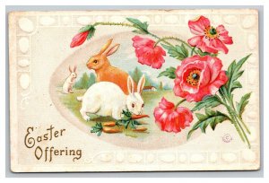 Vintage 1910's Easter Postcard Cute Bunnies Eat Carrots on Farm Big Pink Flowers