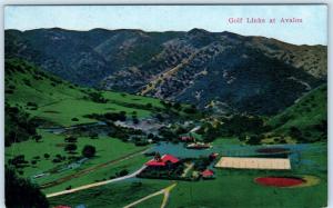 AVALON, CATALINA ISLAND, California CA    GOLF LINKS Course  ca 1910s  Postcard