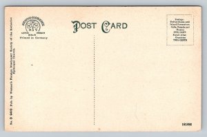 Native House  South America   Postcard