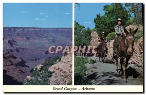 Modern Postcard Grand Canyon Arizona Horse