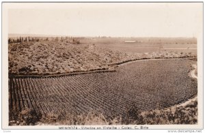 RP; MENDOZA, Argentina, 1920-1940's; Vinedos En Vistalba