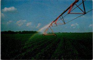 Georgia Pot-O-Gold Peanut Farm 1967