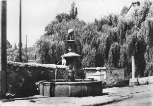 BR12251 Saint Chely D Apcher La Fontaine aux Saules  real photo france