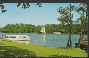 Norfolk Postcard - Boats on Salhouse Broad, Norwich     X956