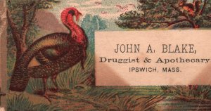 1880s-90s Turkey in Forest John Blake Druggist & Apothecary Ipswich Trade Card