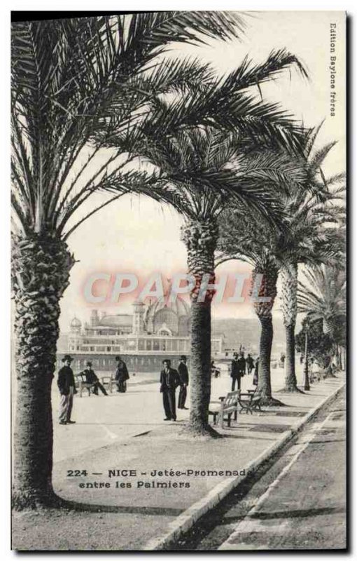 Old Postcard Nice Jetee Promenade Between the Palms
