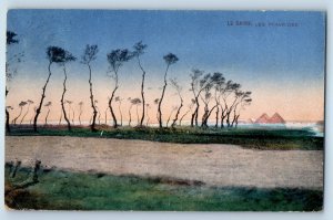 Cairo Egypt Postcard Pyramids Near Sea and Road View c1910 Posted Antique