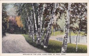 Minnesota Saint Paul Birches By The Lake Como Park