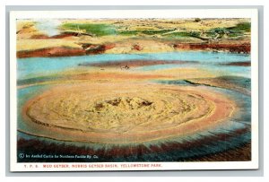 Vintage 1930's Postcard Mud Geyser Norris Basin Yellowstone National Park WY