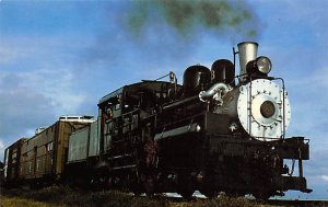 Feather River Railway, Shay Number 3 Railroad, Misc. Unused 