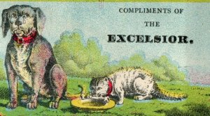 Lot of 6 1880's Excelsior Store, OH Alligator Mice Victorian Trade Cards P82