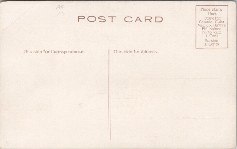 High Kicker at Mine Mule Pulling Coal Mining Driver Unused Postcard H33 *as is