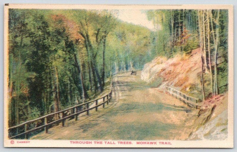 Massachusetts~Mohawk Trail (Hoosac Valley?)~Indian Trade Route~Tall Trees~1920s