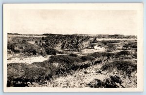 Aruba Postcard View of Trees Forest Road c1920's Unposted RPPC Photo
