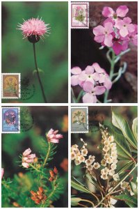 Full set of 4 Maxi Cards - Flowers of Madeira Portugal