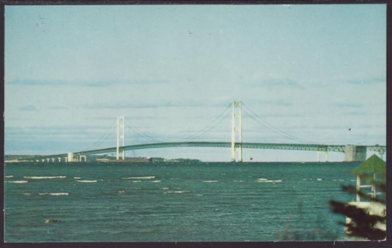 The Mackinac Bridge,MI BIN