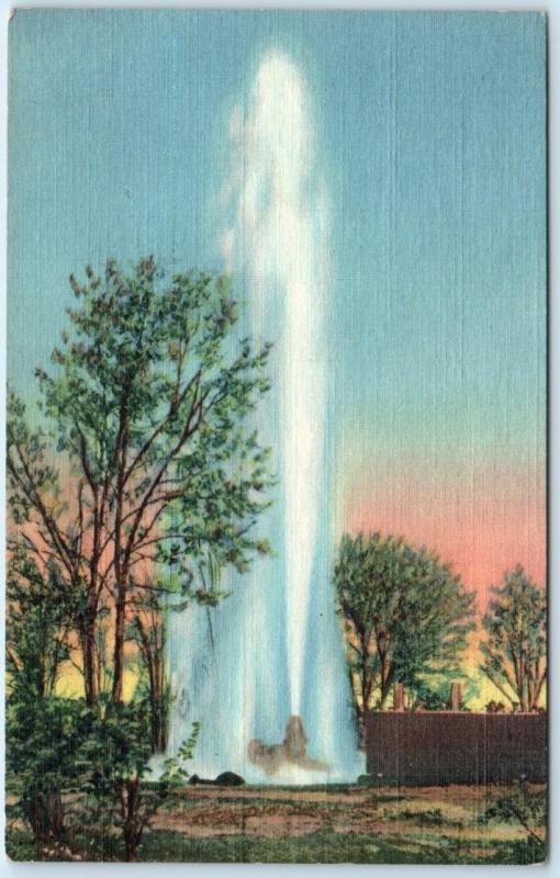 near ROSEWELL, New Mexico   Oasis Ranch LARGEST ARTESIAN WELL c1940s Postcard