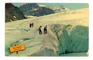 Canada - AB, Jasper. Athabasca Glacier, Columbia Ice Field