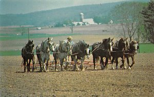 Amish Farmer using a hitch of seven horses to pull the implement - Lancaster,...