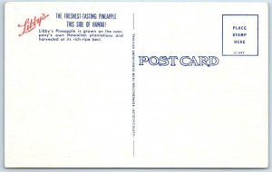 HAWAII, HI  Advertising LIBBY'S PINEAPPLE Packers & Workers Canning   Postcard